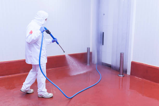 Paint Preparation in Capron, IL