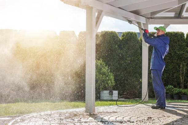 Best Patio and Deck Pressure Washing  in Capron, IL