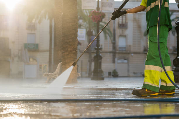Best House Exterior Washing  in Capron, IL